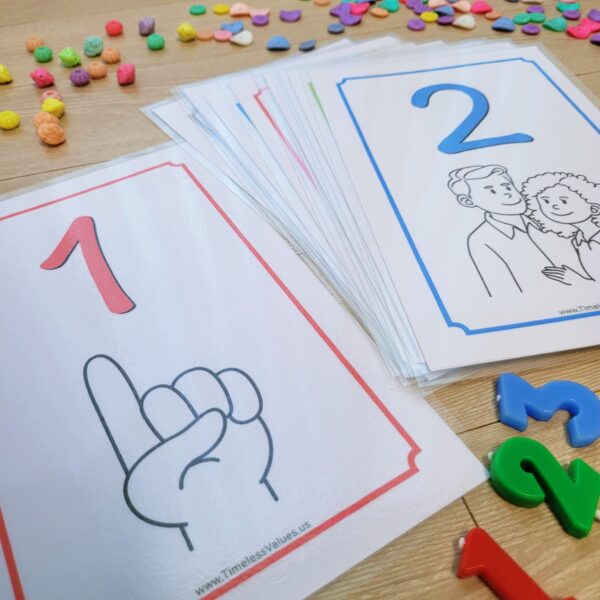 Flashcards